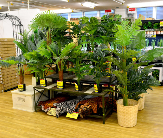 リビングや玄関などインテリアに癒しを与えてくれるフェイクグリーン♪人工植物なので虫が苦手な方に◎水やりなどのお手入れが不要で、手軽にグリーンを楽しめる！